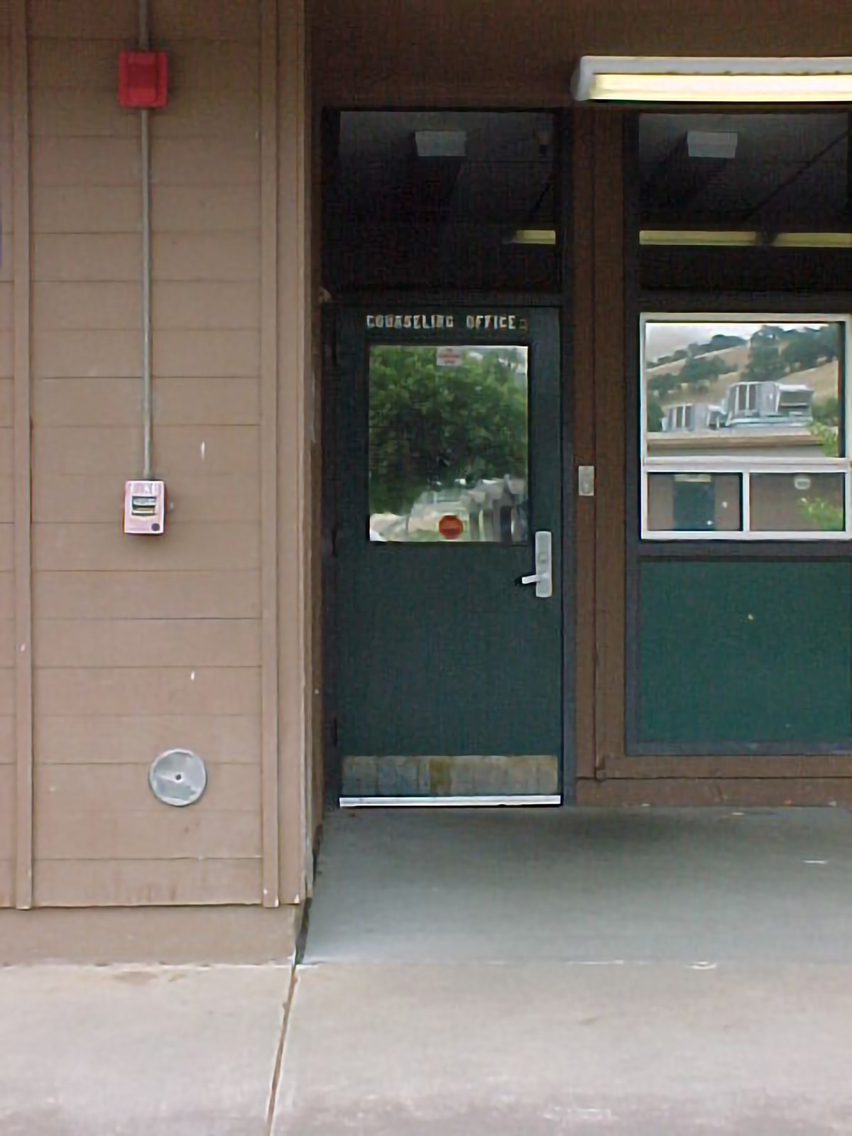 Site photograph, Adam Colton
