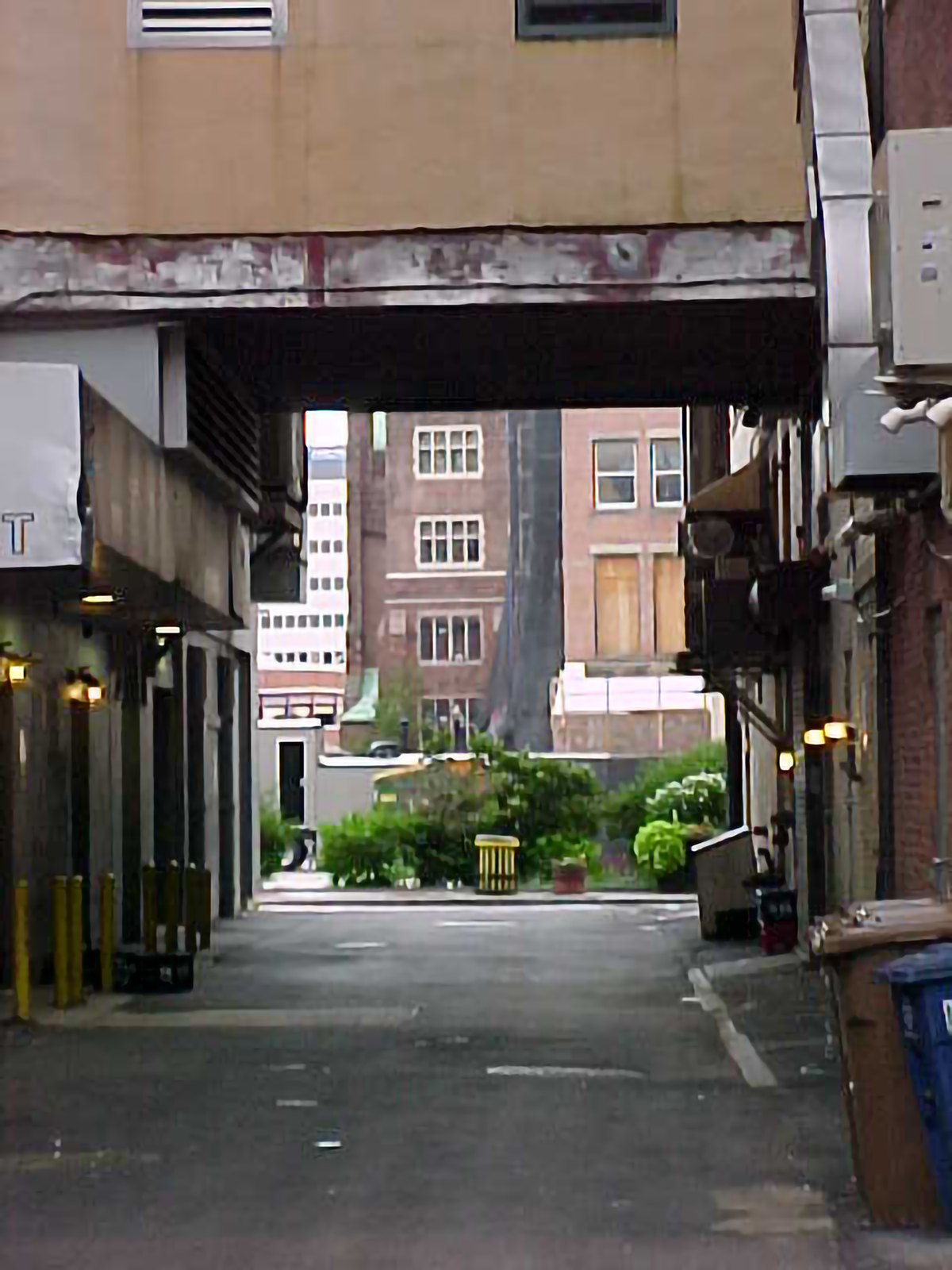 Site photograph, Alfred Moon