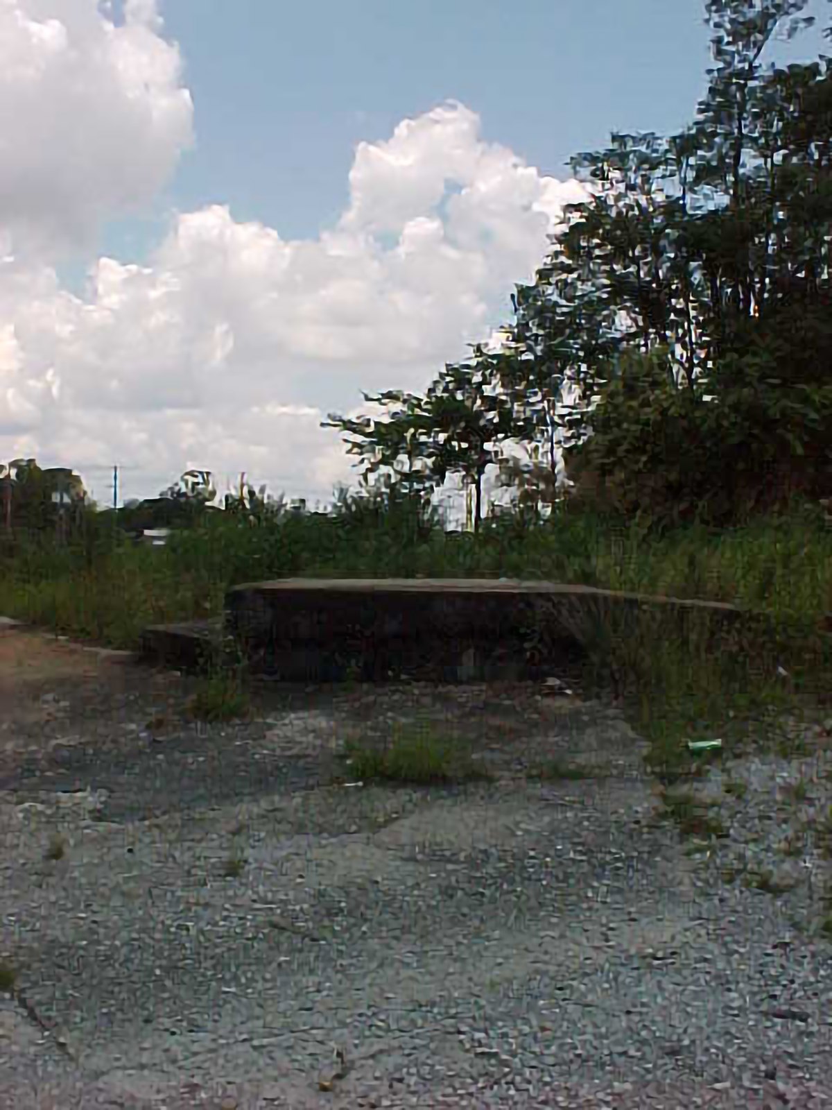 Site photograph, Billy Jack Gaither