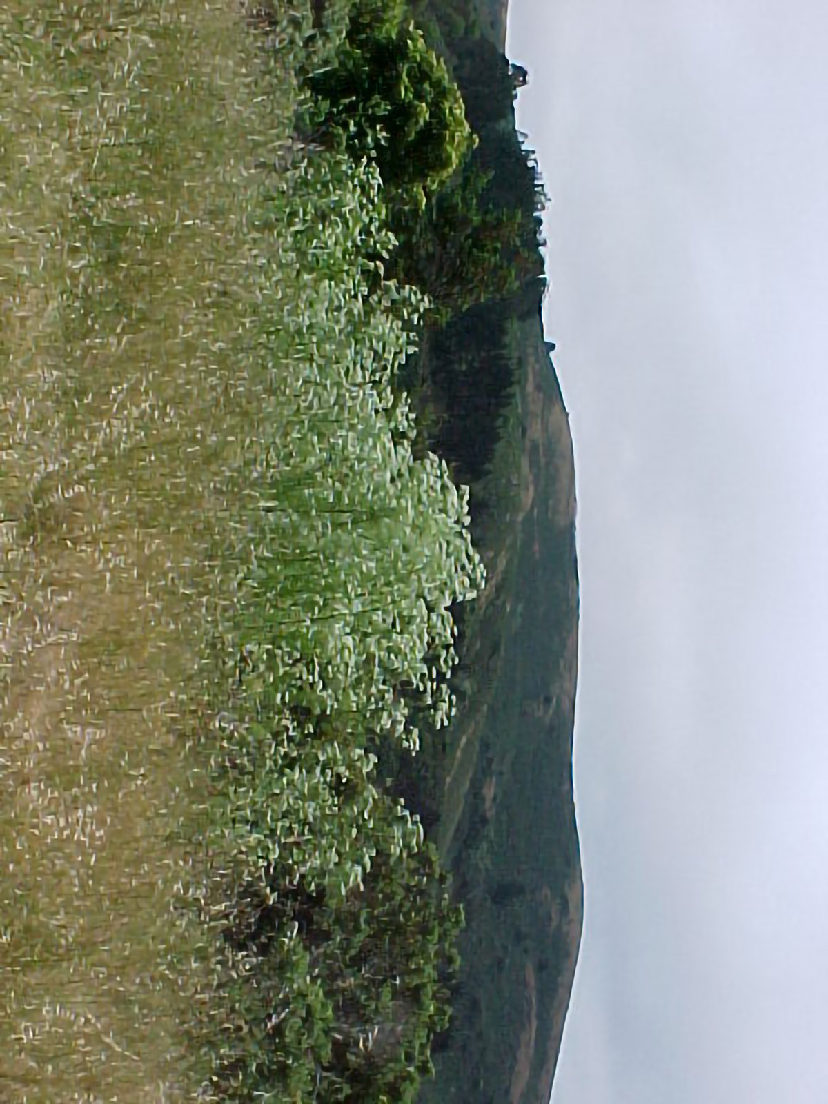Site photograph, Emmon Bodfish