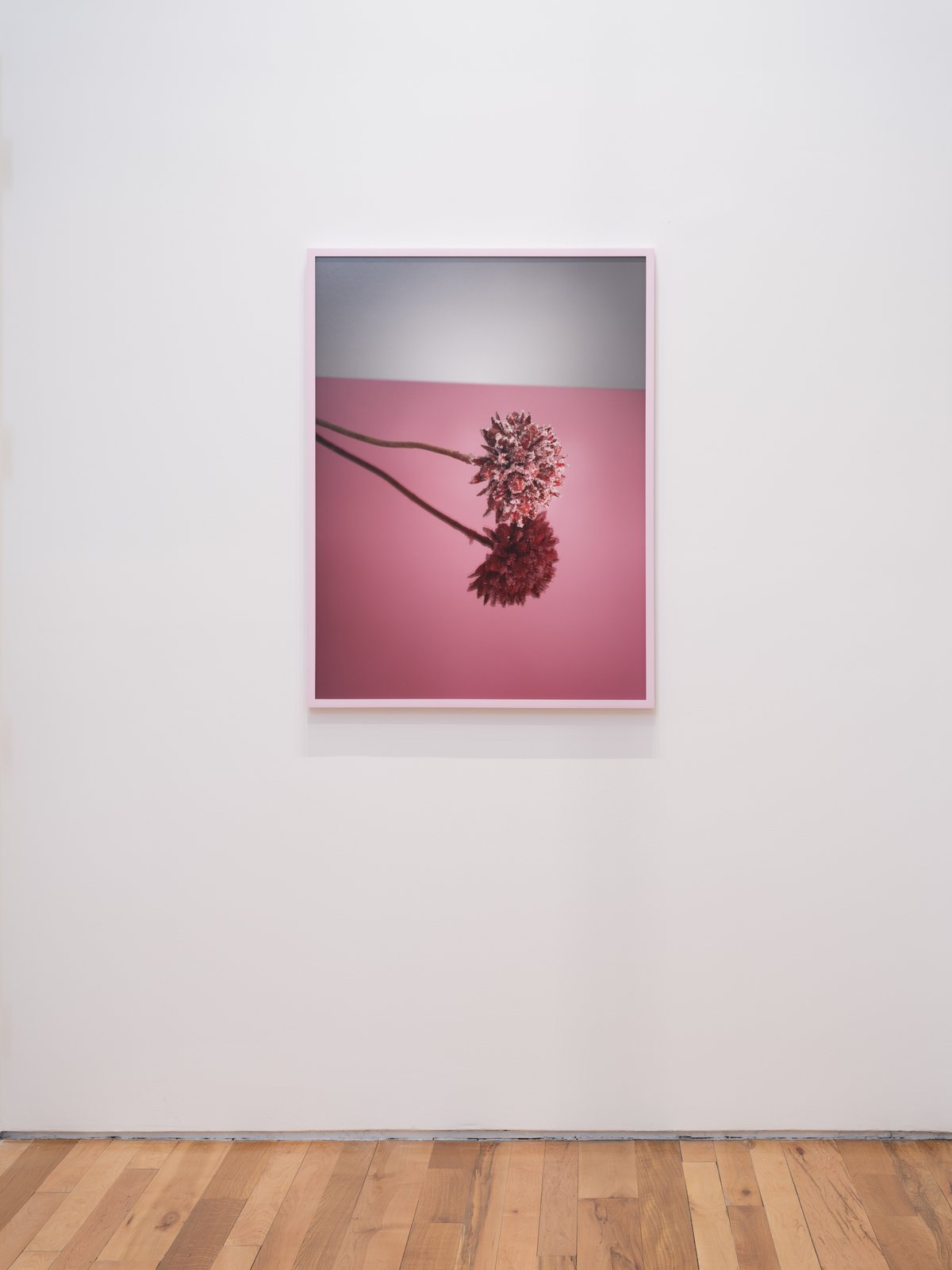 Installation view, Sugar Daddy: Dear Danielle, Denny Gallery, New York, 2023